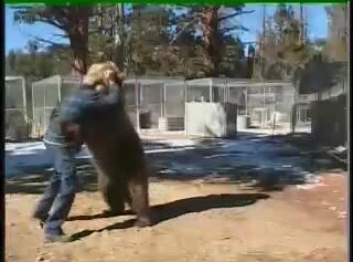 Combat entre un homme et un ours!