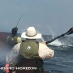Marlin de 300 livres qui remorque un kayak sur près de 18km