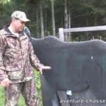 Archers : Préparation du tir d'avant-chasse