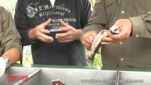 Comment éviscérer une truite sans couteau