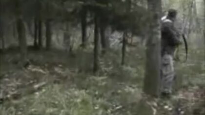 Récolte d'un cerf de Virginie trophée au moyen d'une carabine à air comprimé