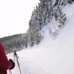 Orignal qui fonce sur des skieurs de fond