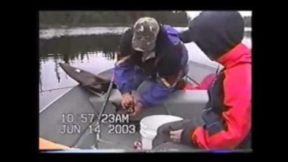 Pêche à la truite 2003