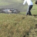 Sauvetage d'un chevreuil pris dans la boue