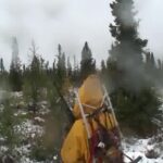 Chasse au caribou dans le grand nord