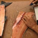 Comment fileter le saumon chinook et la truite arc-en-ciel
