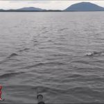 Maine : tranquillité et poissons assurés (lac Moosehead)