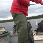 Capture d'une truite grise en seulement 10 secondes de pêche!