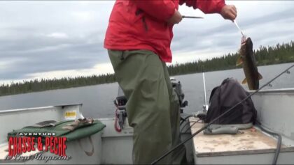 Capture d'une truite grise en seulement 10 secondes de pêche!