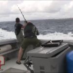 6 pêcheurs à bout de leur force pour sortir un poisson - Pêche au Thon