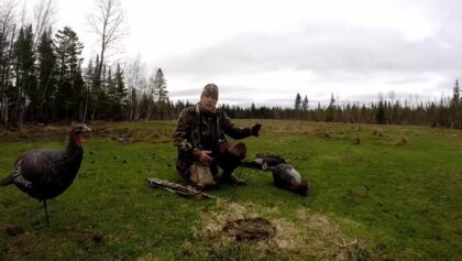 2e abattage dun dindon au Québec - 2014