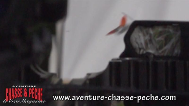 Ouverture de la pointe de chasse rétractable Rage 3 Blade Kore Technology au ralenti