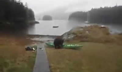 Une kayakiste « poivre » un ours!