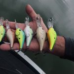 Berkley Dredger Crank Bait: Conseils de pêche professionnels de David Fritts