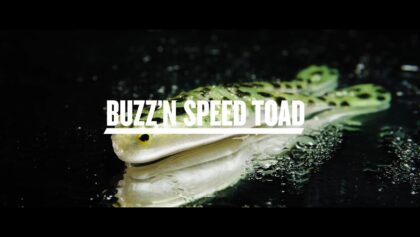 Berkley PowerBait Buzz'n Speed ​​Toad en action