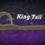 Berkley PowerBait Maxscent King Tail : Attrapez plusieurs poissons