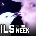 Bird is the Word: Fails of the Week (August 2020) | FailArmy