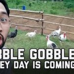 Gobble Gobble: Turkey Day is Coming | FailArmy