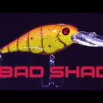 Le Berkley Bad Shad Crankbait : un appât dur indispensable