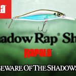 Méfiez-vous des ombres : Rapala® Shadow Rap® Shad