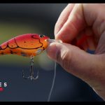 Pêche de printemps : les meilleurs appâts Berkley pour attraper plus de poissons