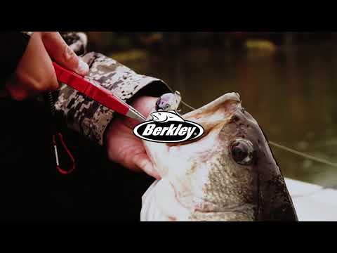 Pourquoi vous devriez pêcher pendant la saison d'automne : Berkley Fishing