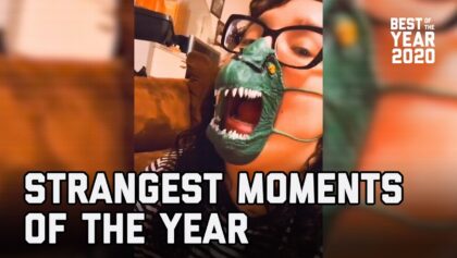 Strangest Moments of the Year (2020) | FailArmy
