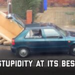 Stupidity At Its Best | FailArmy