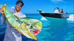 Mahi Pêche dans les Florida Keys