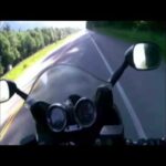 Accident entre un ours et une moto