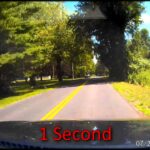 Camion vs cerf : 5000$ de dommage en 1 seconde