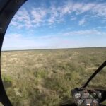 Capture de cerfs en Hélicoptère