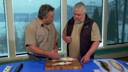 Comment faire des filets de doré en portefeuille (Plan de gestion du doré au Québec)