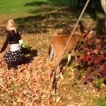 Des fillettes s'amusent avec un cerf dans les feuilles mortes