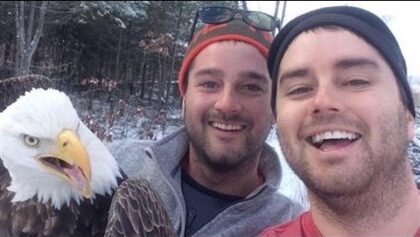 Deux frères libèrent un aigle à tête blanche pris dans un piège