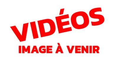 Aventure Chasse Peche | Aventure Chasse Peche Orignal Chevreuil Pourvoirie