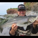 Pêche au bar rayé en Gaspésie