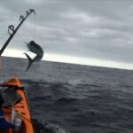 Pêche extrême en kayak