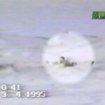Sauvetage d'un bébé ours polaire coincé dans un piège