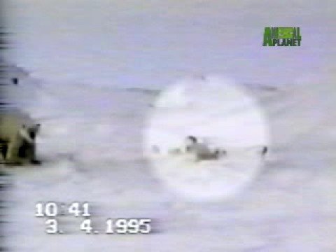 Sauvetage d'un bébé ours polaire coincé dans un piège
