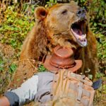 Survivre à une attaque d'ours (EN)