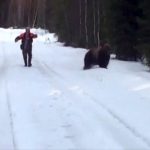 Un homme effraie un ours qui le charge