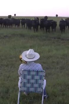 Un homme rassemble un troupeau de vaches avec son trombone