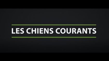 Chiens courants