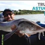Trucs et Astuces - Montages pour la pêche à l'esturgeon
