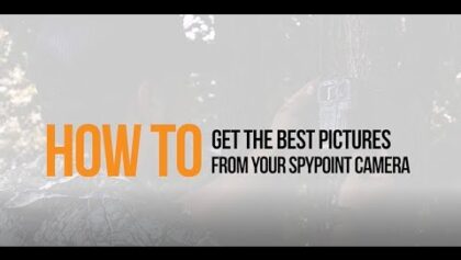 Comment obtenir les meilleures photos de votre caméra SPYPOINT| SPYPOINT