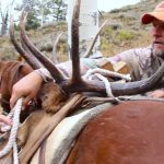 1050 YARD SHOT Wyoming Backcountry Bull - Extreme Outer Limits