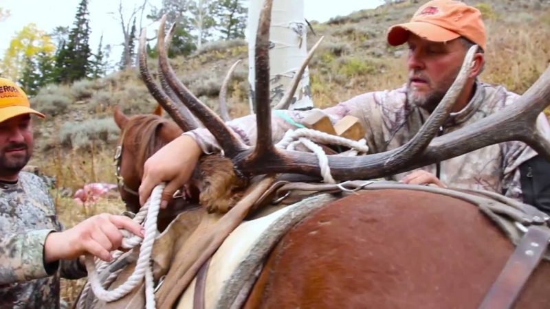 1050 YARD SHOT Wyoming Backcountry Bull - Extreme Outer Limits