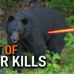 50 ours tués en 15 minutes ! (Compilation ULTIME de chasse à l'ours)