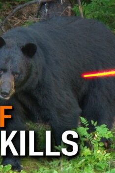 50 ours tués en 15 minutes ! (Compilation ULTIME de chasse à l'ours)